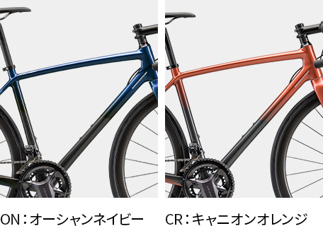 全2色の中から選べます。
