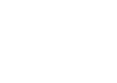 BRIDGESTONE GREEN LABEL
