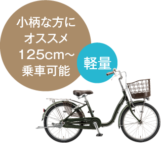 アルミーユ ミニの車体写真