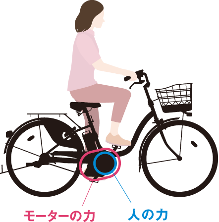 女性が自転車に乗っているイラスト