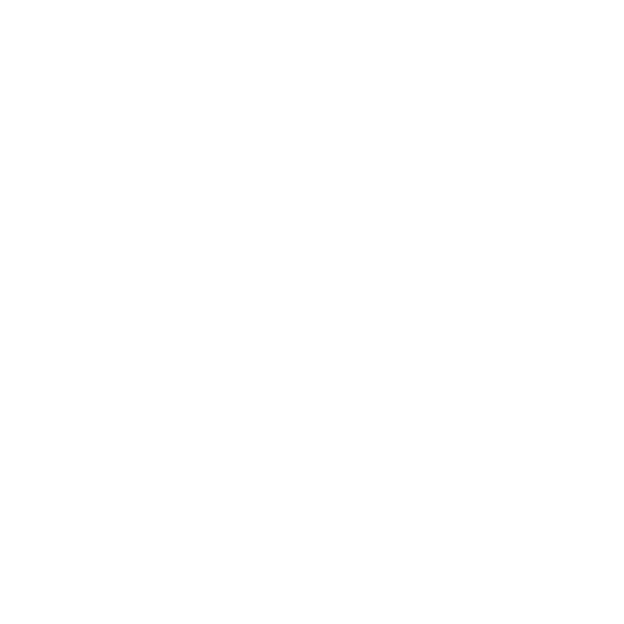 TRY TO RIDE!